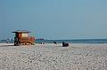 481. sarasota